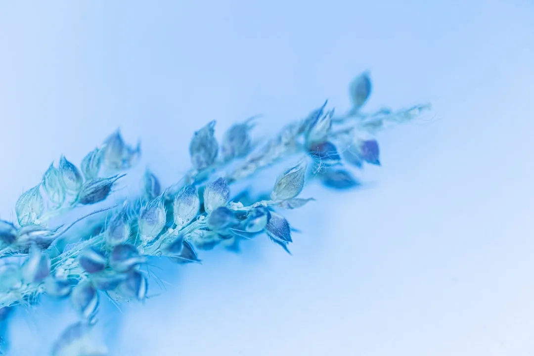 亚软科技软件开发服务在华中制造企业的落地实践封面图